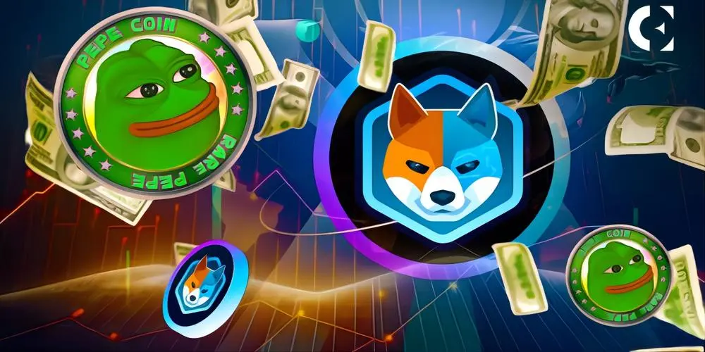 2024上半年加密货币哪个赛道最赚钱？