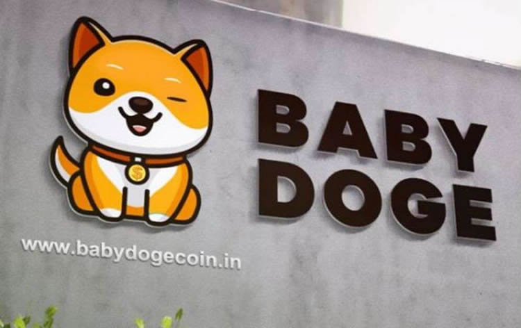 宝贝狗币(BabyDoge)是什么币?宝贝狗币价格走势及未来如何