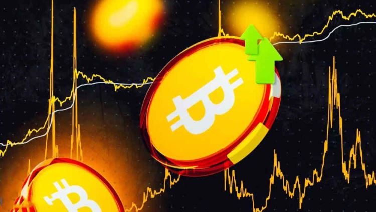 狗币最高价格多少钱 狗狗币最高价多少