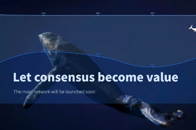 解锁数字财富之门：探秘USDT钱包的神奇魅力