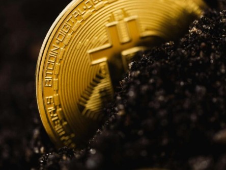 bitcoin今天最新价格_btc当前价格_bitcoin有未来吗