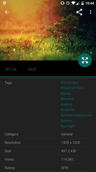 wallhaven top密钥截图1