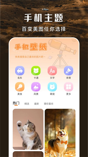 主题盒 最新版本免费版截图1