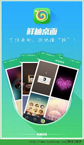 鲜柚桌面