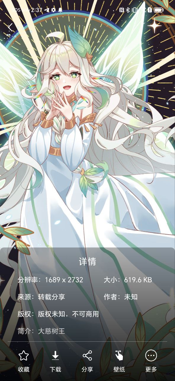 青芒壁纸