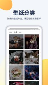皮卡充电壁纸