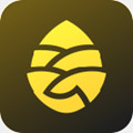 松果出行app
