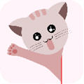 猫咪桌面宠物app