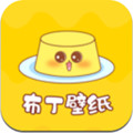 布丁壁纸秀