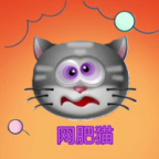 网肥猫APP手机版下载最新版