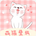 萌猫桌面壁纸