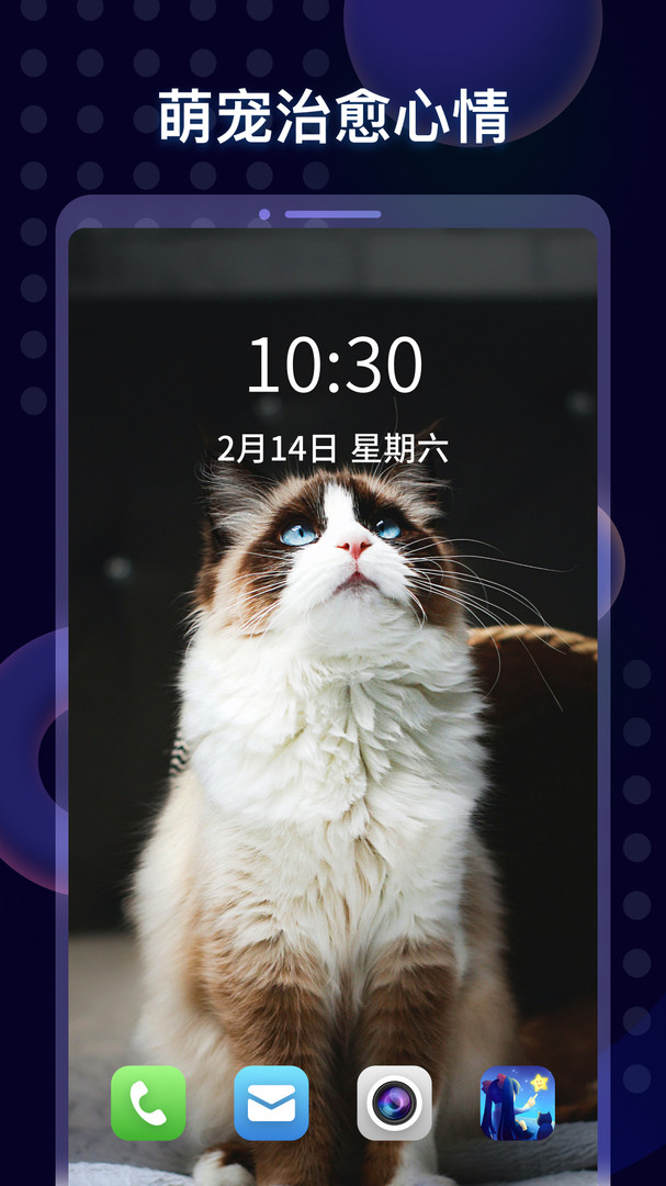 壁纸酱(解锁VIP功能)截图1