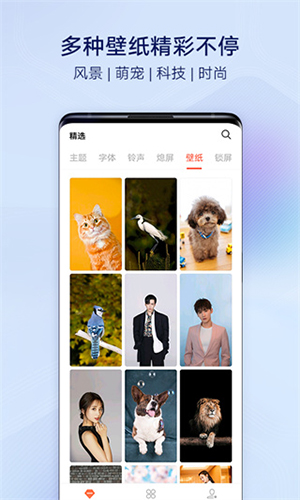 vivo主题商店免费版下载官方正版截图1