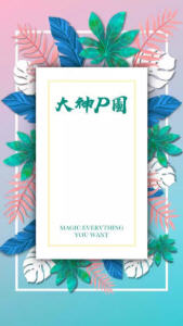 大神P图轻量版