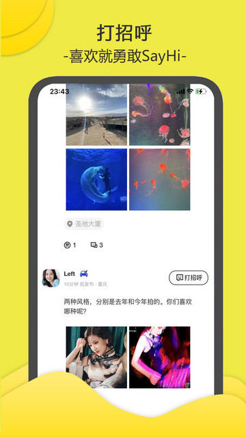 南乔木app手机版