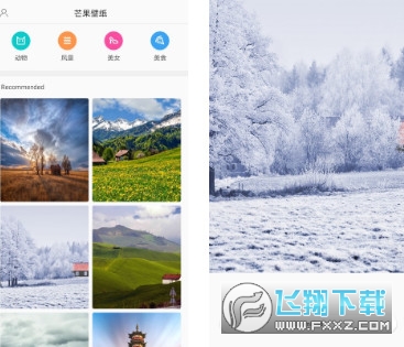 芒果壁纸app