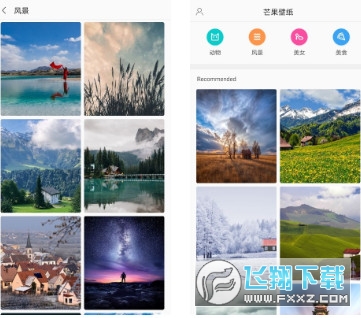 芒果壁纸app
