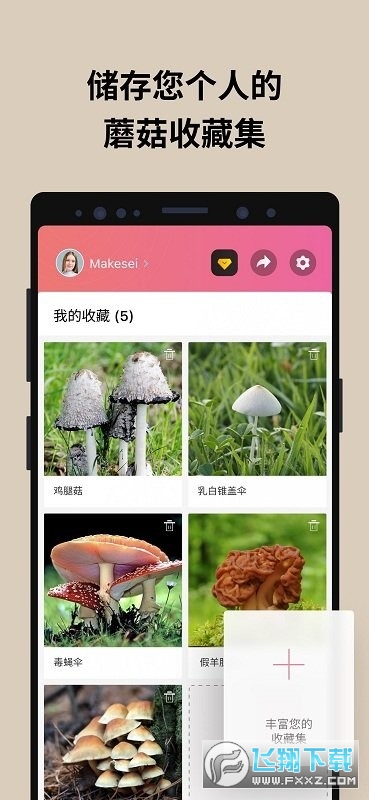 蘑菇识别扫一扫app