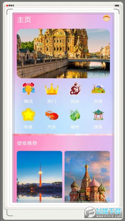 壁纸菌