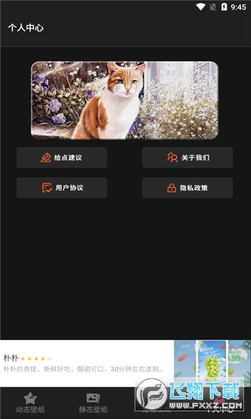 喵喵之家