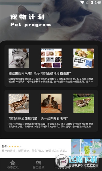 喵喵之家