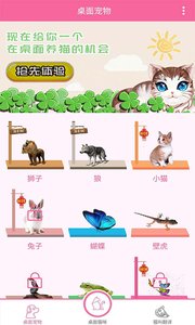 猫咪桌面宠物app