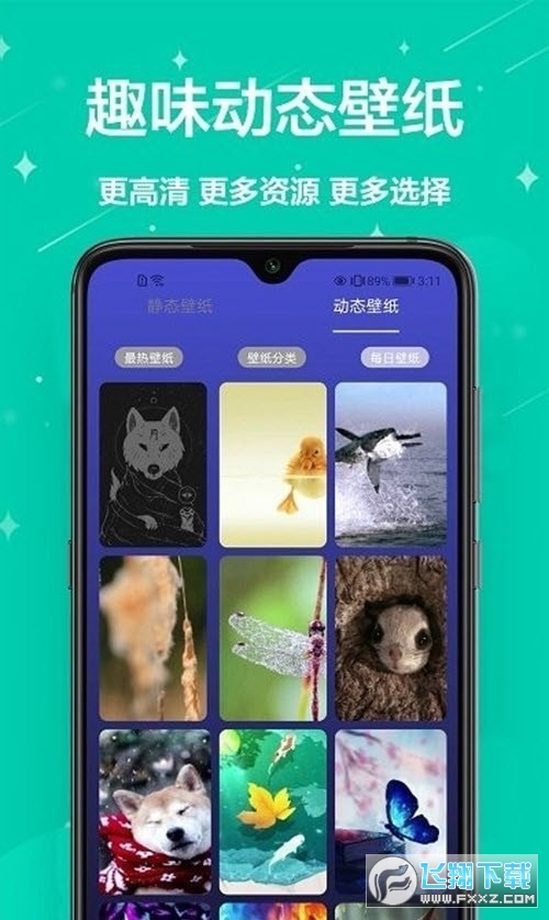 主题君