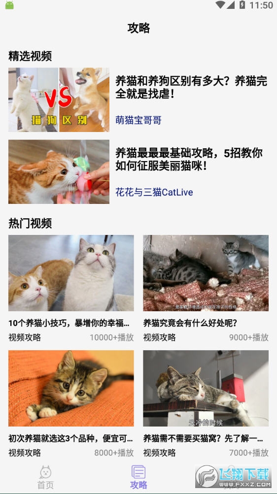可爱喵喵壁纸大全app