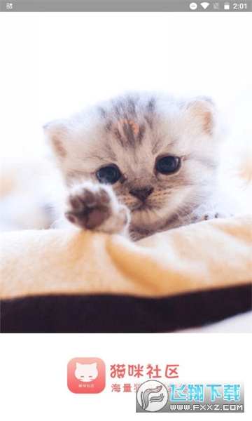 新版猫社区官方免费下载安卓版
