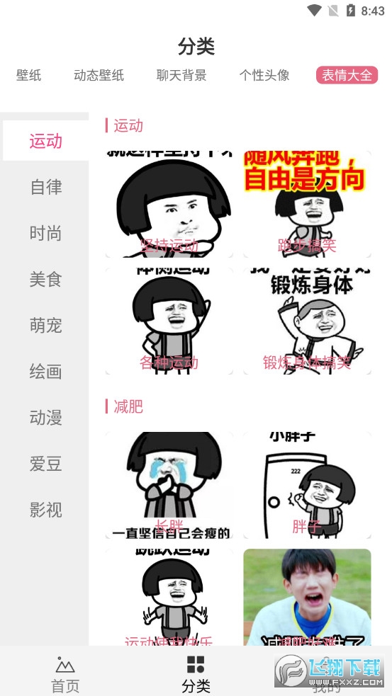 intolive精灵壁纸