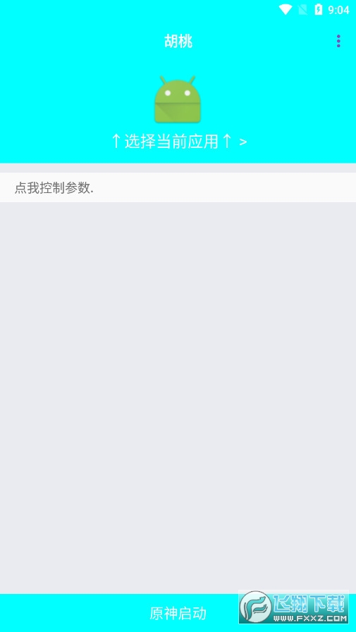 胡桃弱网4.0参数app