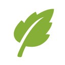 sgreen浏览器官方app下载正版