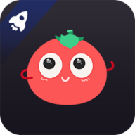 番茄加速器app官方下载最新版