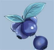蓝莓软件库app免费下载安装最新版本2025
