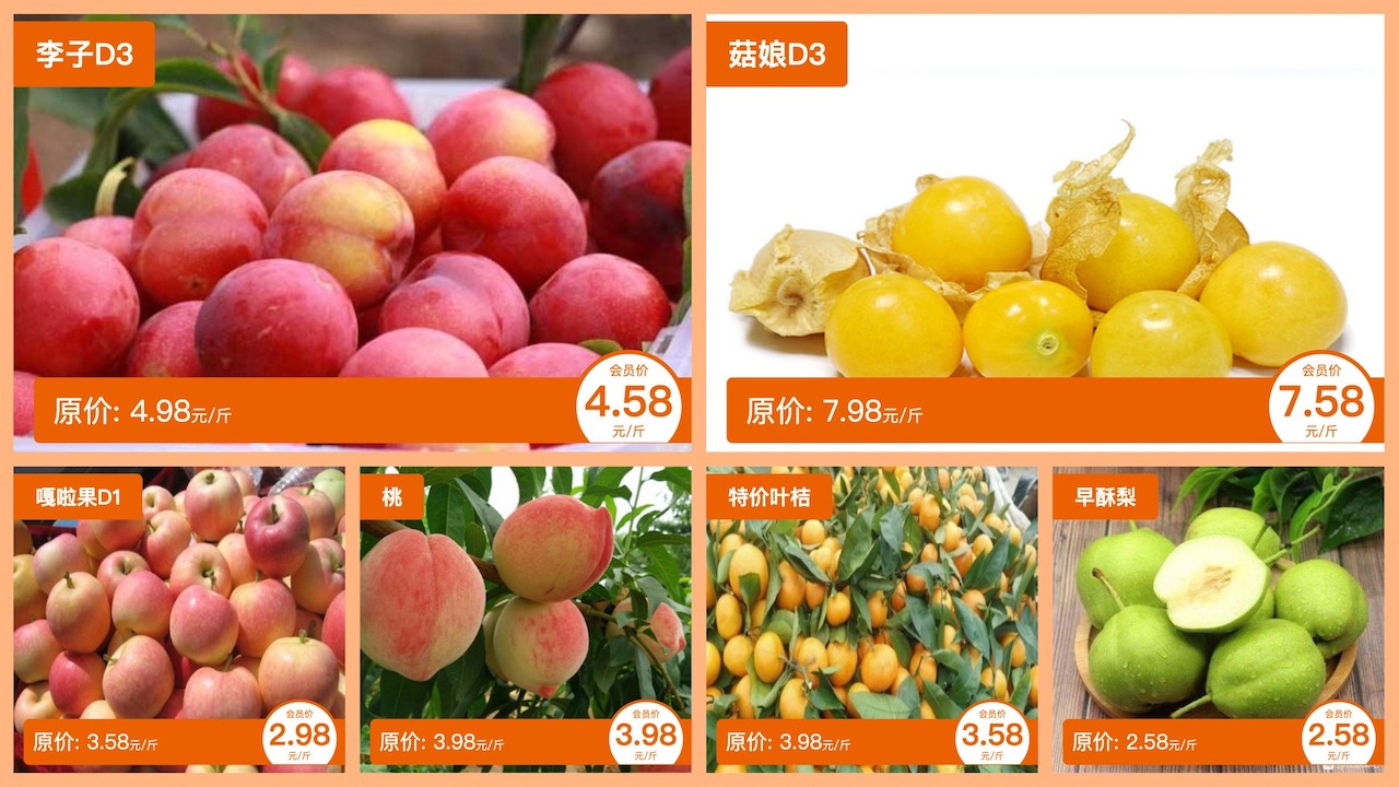 知了知屏电视版下载最新版