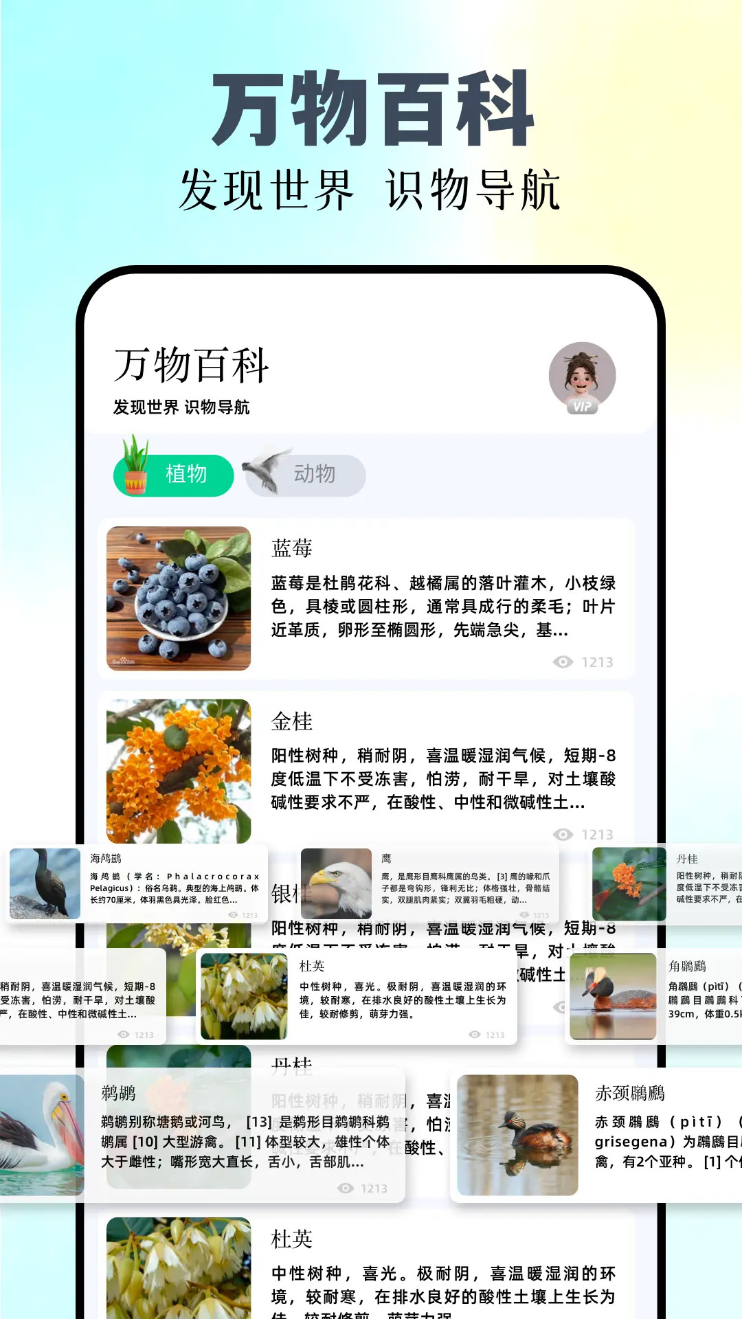 识万物扫一扫app下载免费版