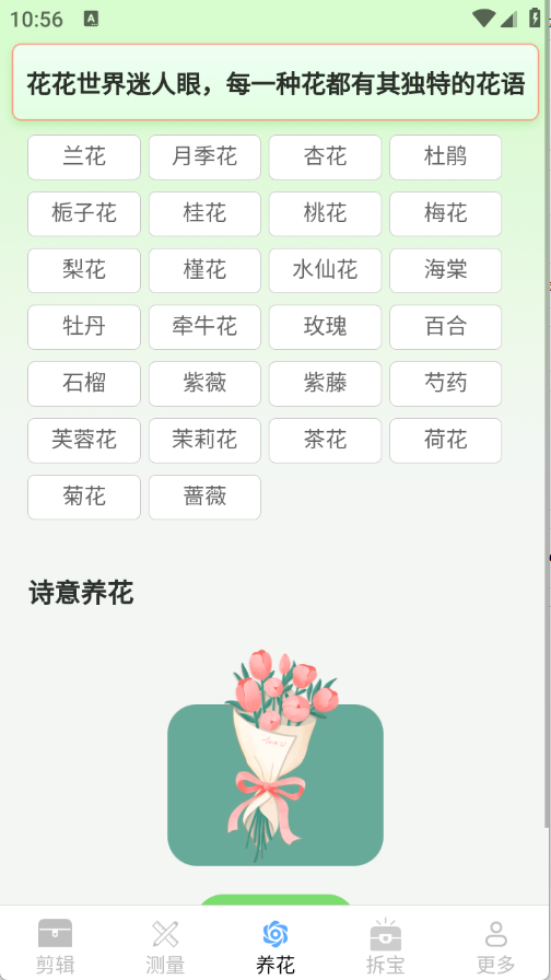 真能帮工具箱官方手机版