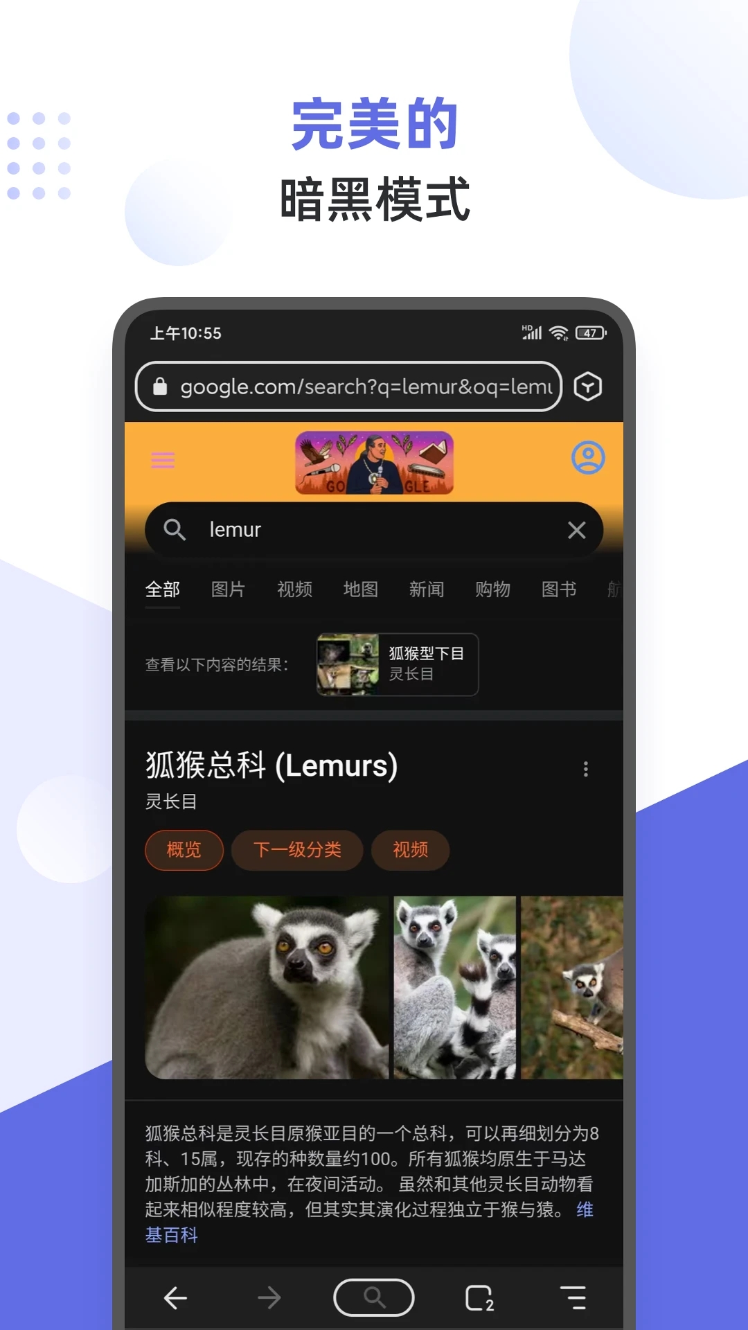 狐猴浏览器app下载官方正版