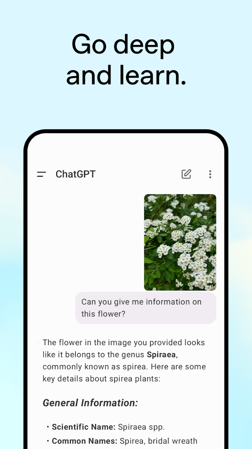 CHATGPT官方安卓版app手机版