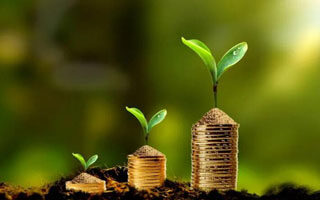 派币是传销还是骗局 2023派币是骗局揭秘