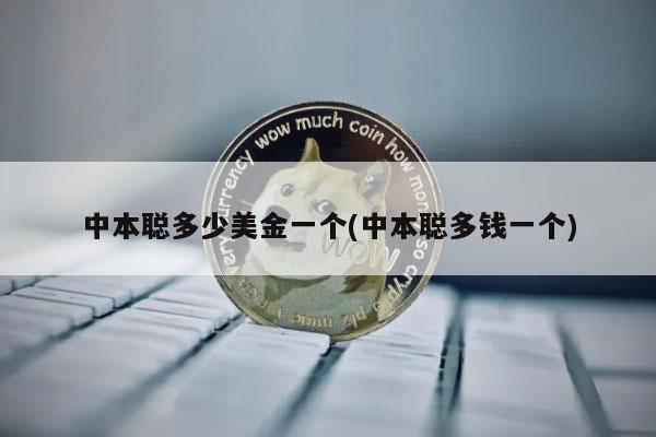 中本聪多少美金一个(中本聪多钱一个)-第1张图片-欧意下载