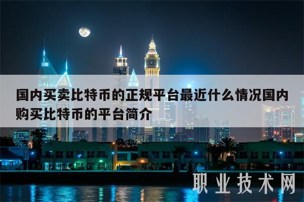 国内买卖比特币的正规平台最近什么情况国内购买比特币的平台简介-第1张图片-欧意下载