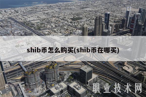 shib币怎么购买(shib币在哪买)-第1张图片-欧意下载