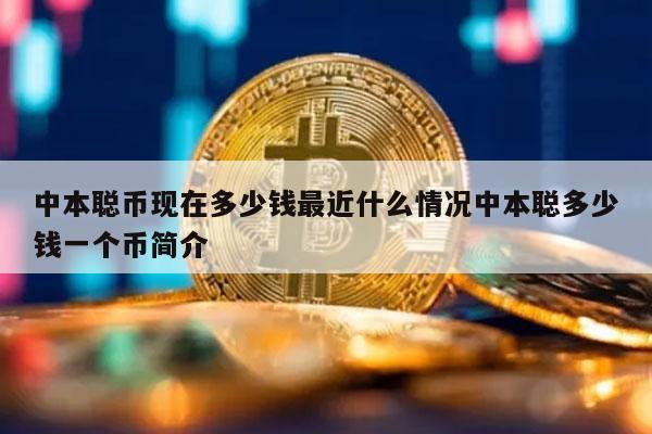 中本聪币现在多少钱最近什么情况中本聪多少钱一个币简介-第1张图片-欧意下载