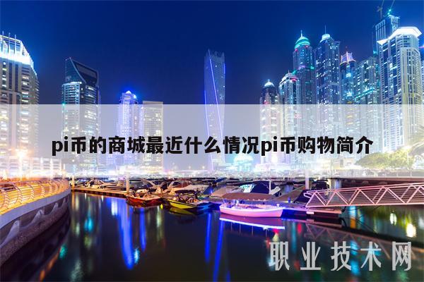 pi币的商城最近什么情况pi币购物简介-第1张图片-欧意下载