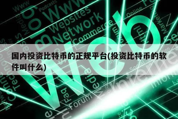 国内投资比特币的正规平台(投资比特币的软件叫什么)-第1张图片-欧意下载
