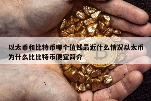 以太币和比特币哪个值钱最近什么情况以太币为什么比比特币便宜简介-第1张图片-欧意下载