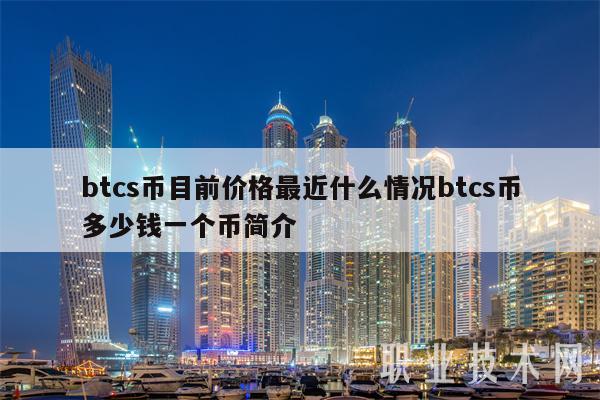 btcs币目前价格最近什么情况btcs币多少钱一个币简介-第1张图片-欧意下载