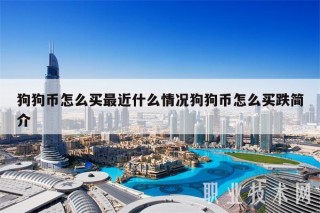 狗狗币怎么买最近什么情况狗狗币怎么买跌简介