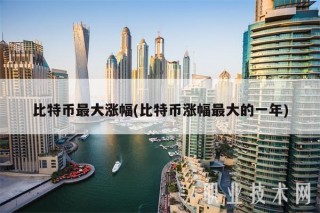 比特币最大涨幅(比特币涨幅最大的一年)